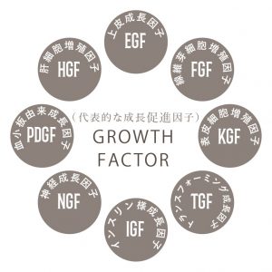 Growth Factor(成長因子)