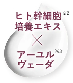 ヒト幹細胞培養エキスxアーユルヴェーダ