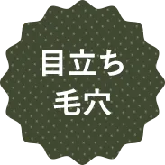 目立ち毛穴